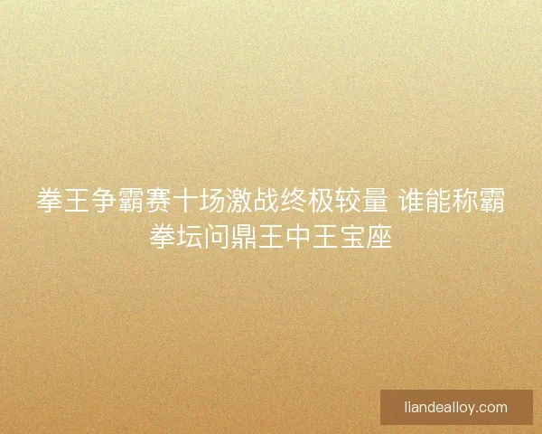 拳王争霸赛十场激战终极较量 谁能称霸拳坛问鼎王中王宝座